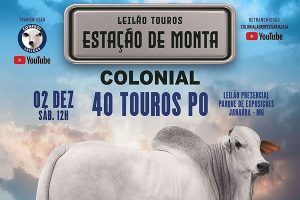 Leilão presencial – Estação de Monta